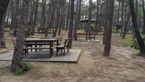 área de picnic en un bosque de pinos