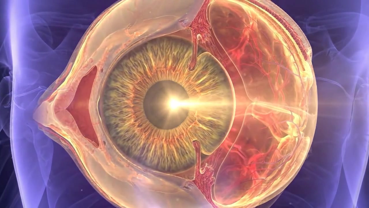 Animazione medica 3D dell'anatomia dell'occhio umano e della rifrazione della luce