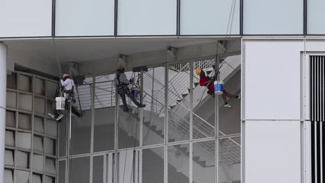 trabajadores limpiando ventanas en un edificio alto.