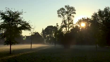 sunrise at strathcona park, ottawa, on