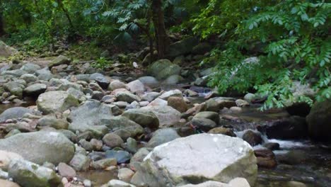 Río-Que-Fluye-Sobre-Rocas-En-Medio-De-La-Selva