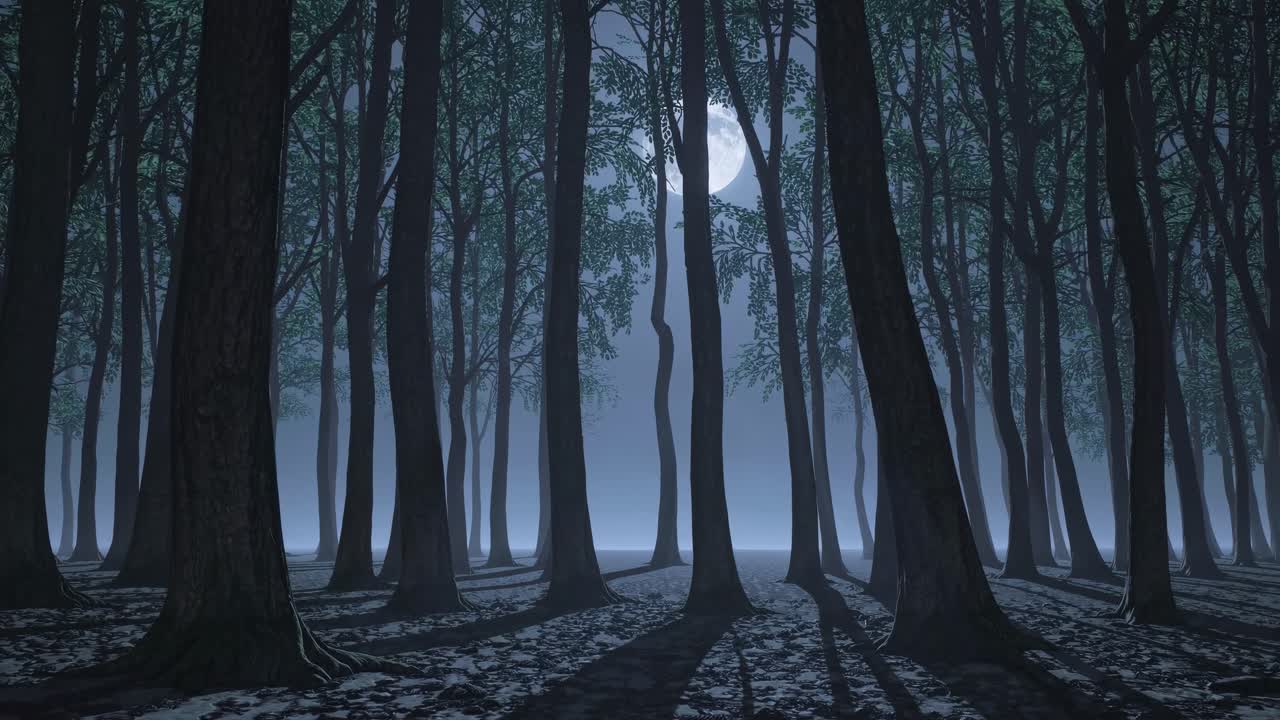 A moonlit forest scene with tall trees casting shadows, captured from a low-angle