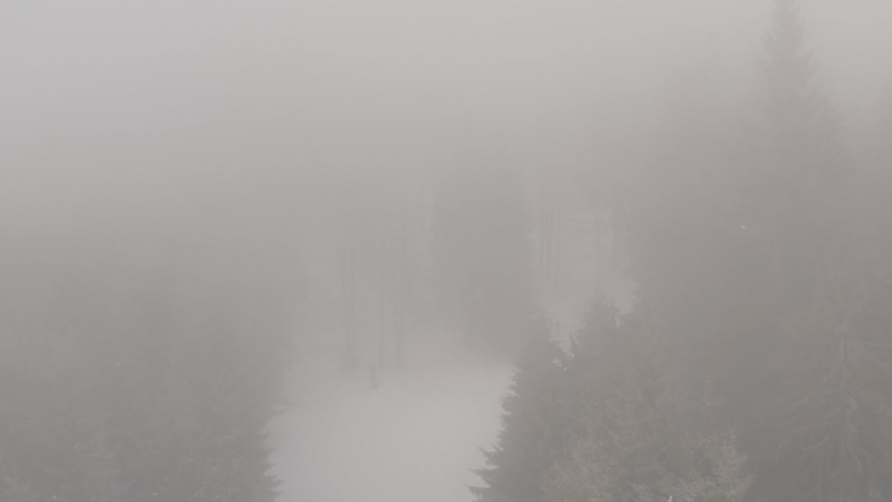 루마니아 카르파티아 산맥의 안개 낀 겨울 전망