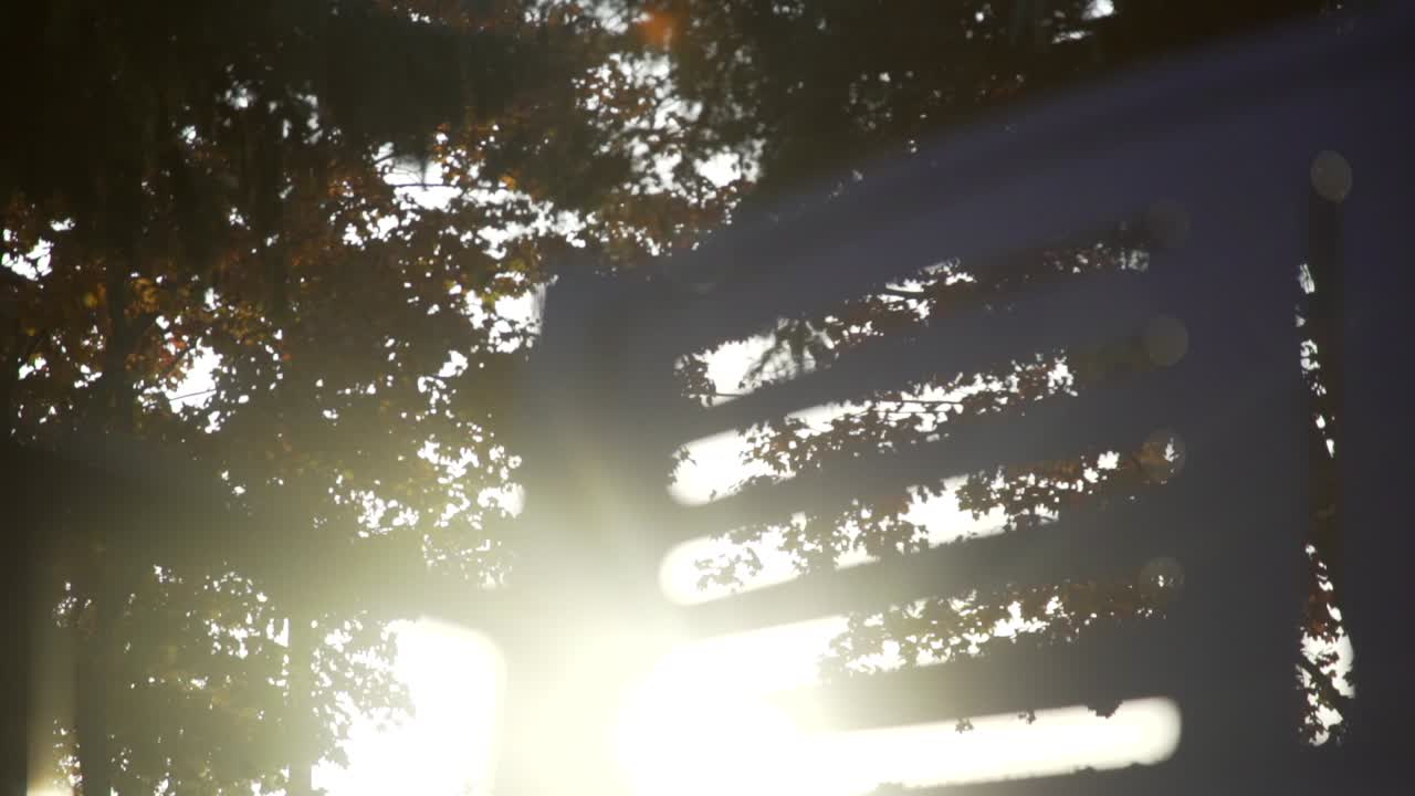 Garden Bench with Sunlight Beaming Through at Cullen Gardens in Whitby, Canada