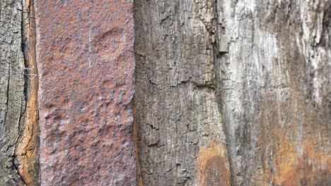 Vintage-Abandonado-Resistido-Madera-Con-Textura-De-Madera-Y-Superficie-De-Acero-Oxidado-Dolly-Derecha