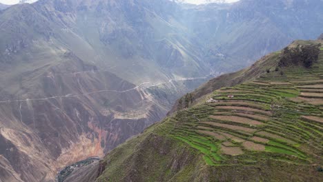 sobrevuelo campos verdes en terrazas alto por encima del cañón de colca en el sur de perú