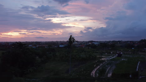 Toma-Aérea-De-Un-Murciélago-Volando-Sobre-Un-Pequeño-Pueblo-Y-Plantaciones-Agrícolas-En-Terrazas-En-Un-Clima-Tropical-De-Bali-Por-La-Noche