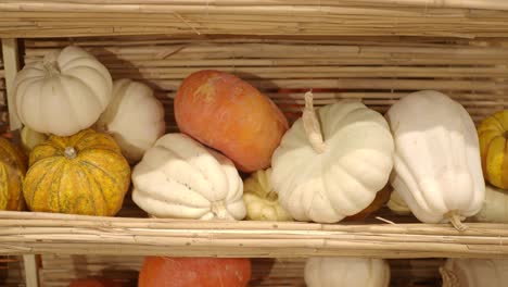 varias calabazas coloridas en un estante en un mercado