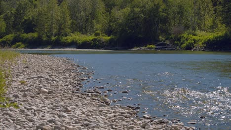 pebbles by the river  / focus on forest