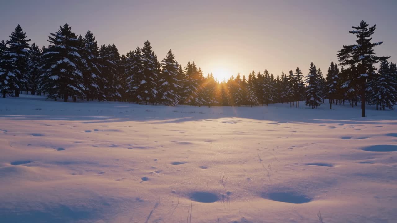 En fredfyldt vinterlandskabsvideo, der fanger solopgangen over en sneklædt skov