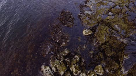 Aerial-of-rocks-in-the-water-on-a-shore-at-sunset-on-Lofoten,-Norway