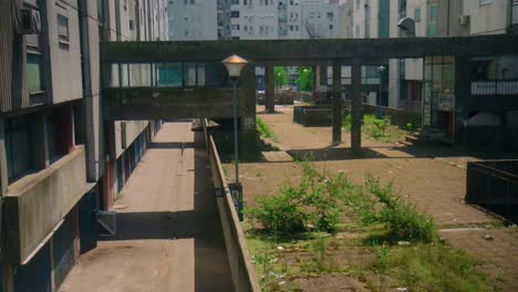 overgrown urban apartment complex