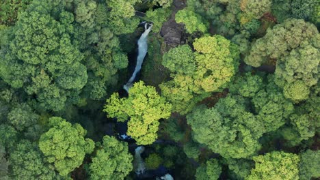 toma aérea de un dron mirando hacia las cascadas de aira force falls ubicadas cerca de ullswater en el distrito de los lagos