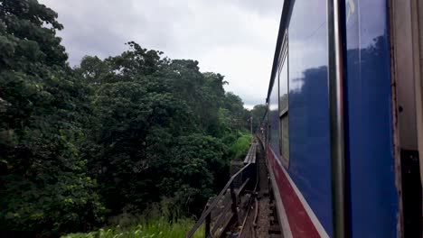 blue train curves through lush greenery on a sunny day in sri lanka, showcasing the adventure of train travel. the scene captures motion, nature, and the charm of railway journeys.
