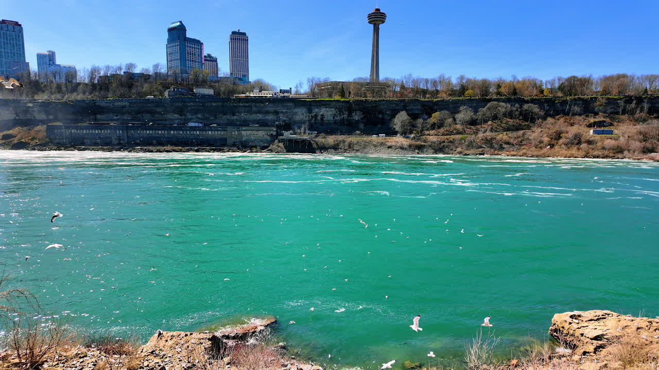 Una scena mostra un fiume che scorre con acqua blu brillante vicino alla riva. Grattacieli torreggiano sullo sfondo