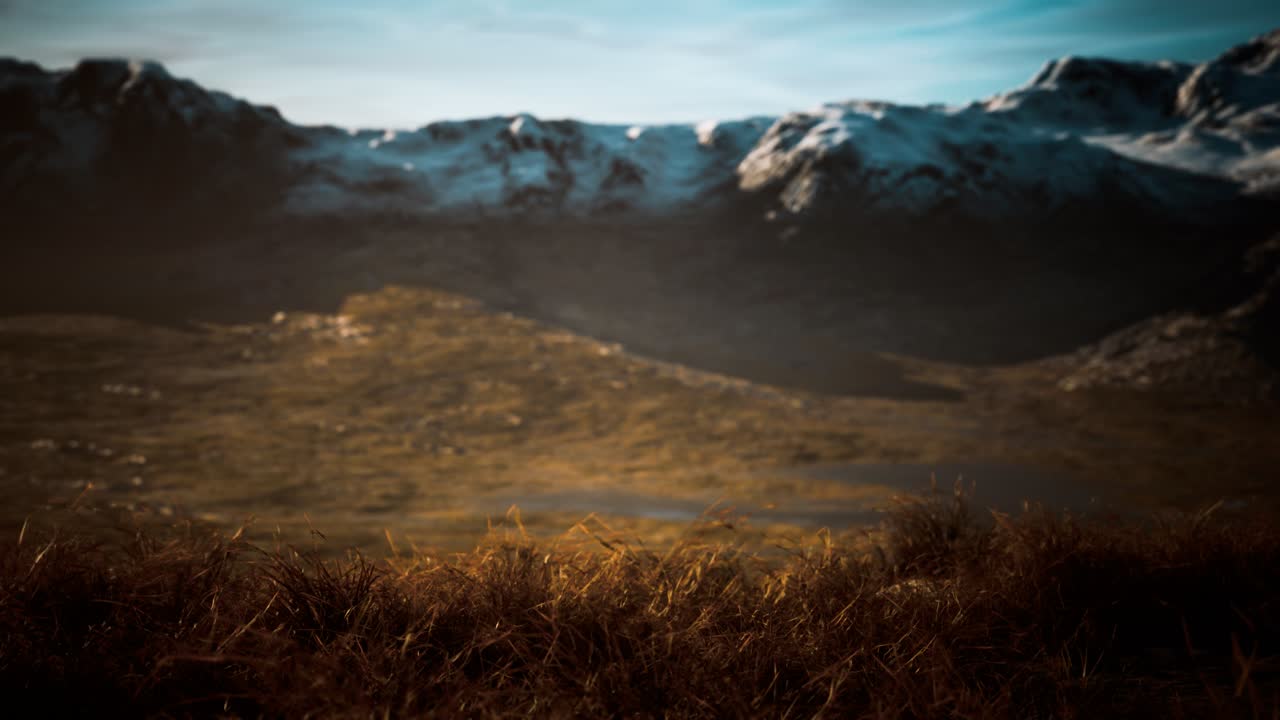 hierba seca y montañas cubiertas de nieve en alaska