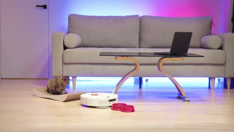 sala de estar de casa inteligente con vacío para gatos y robots