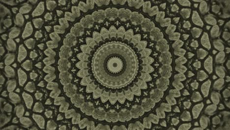 parallax effect. radial green snake skin background. snake skin texture closeup. 4k zoom in footage