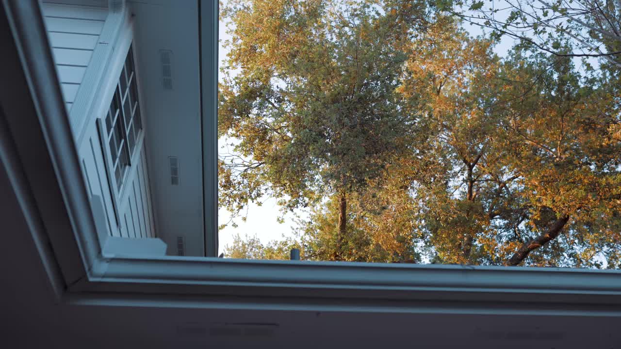 집 위에 매달린 나무의 위쪽 전망, 6o 프레임으로 녹음