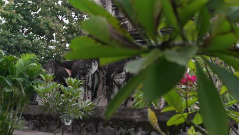 Elephant-statues-in-the-facade-of-a-Buddhist-temple-revealed-through-plants