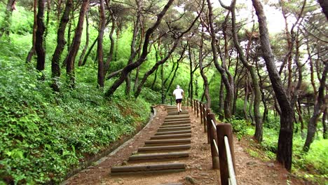 Colocar-Macho-Joven-Corriendo-Por-La-Pasarela-En-Las-Montañas