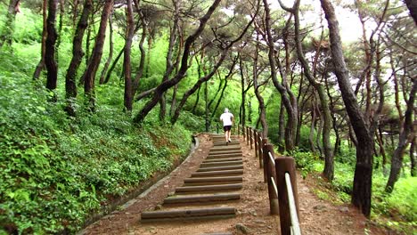 산에서 산책로를 실행 맞는 젊은 남성