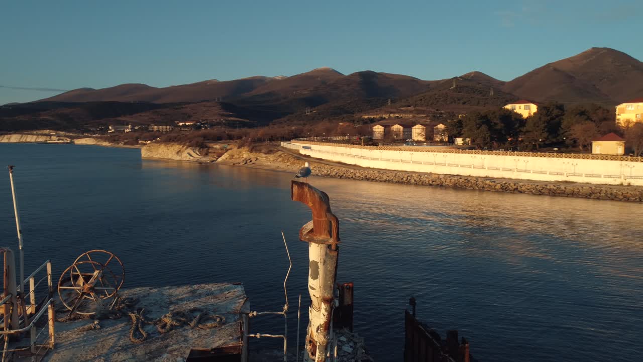 Abandoned Shipwreck by the Coast with Gulls