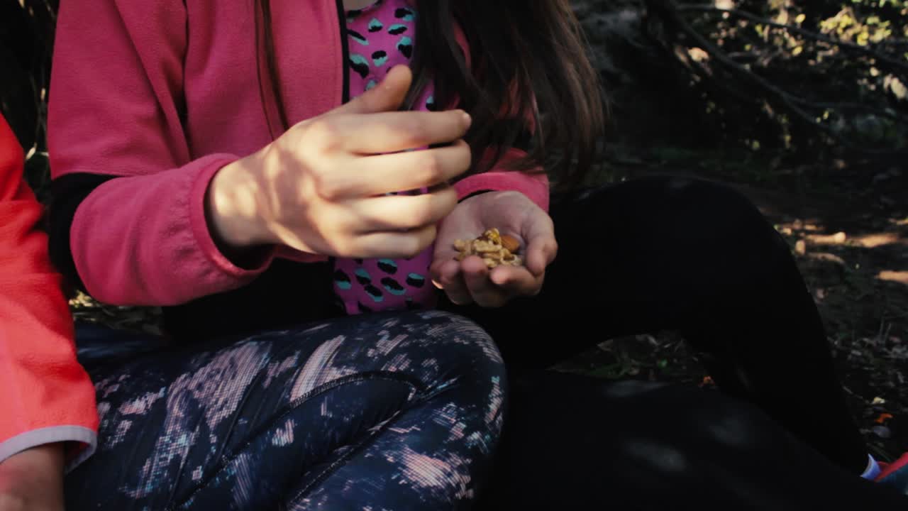 comer frutas secas orgánicas