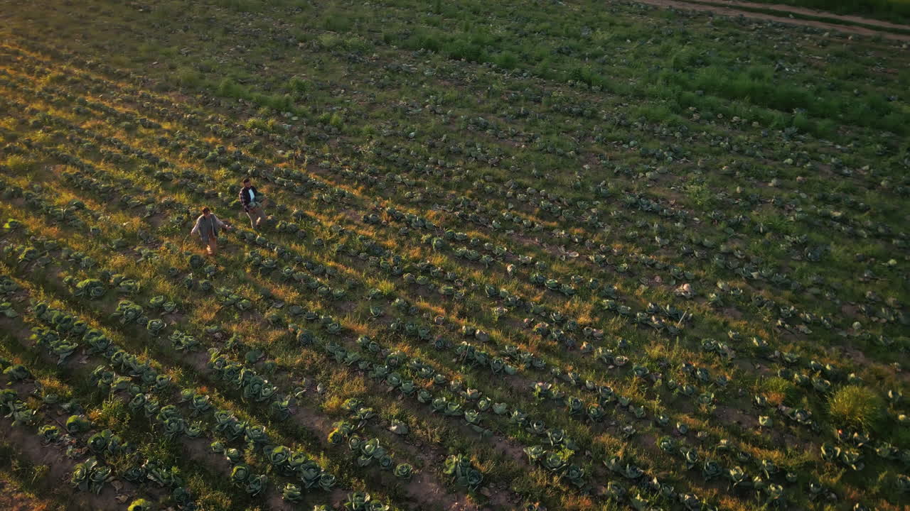 granja, sostenible y drone de personas que caminan