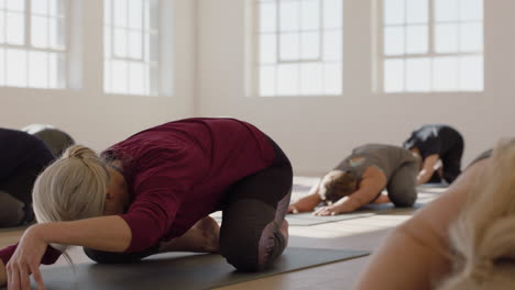 yoga class of healthy mature women practicing childs pose enjoying morning physical fitness workout in studio