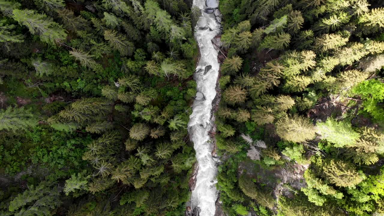 sobrevuelo aéreo de arriba hacia abajo sobre el valle del río ródano en valais, suiza, con un excursionista caminando por el puente colgante de goms en lo alto del río y los árboles