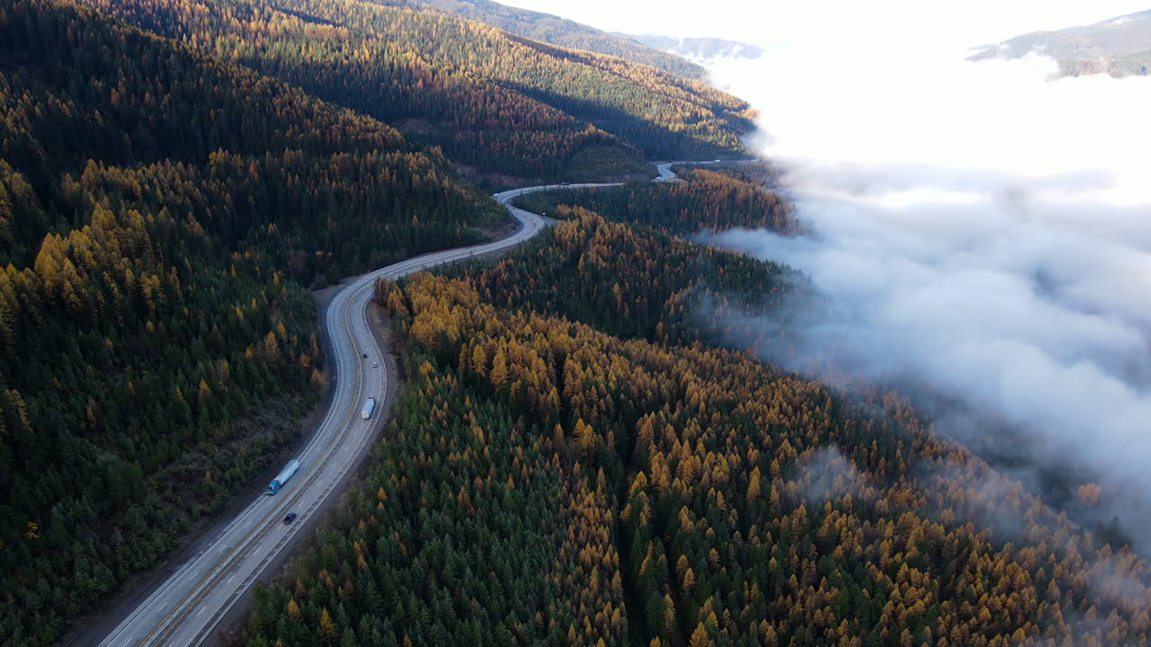 vista aérea de la sinuosa carretera de montaña a través del bosque de otoño