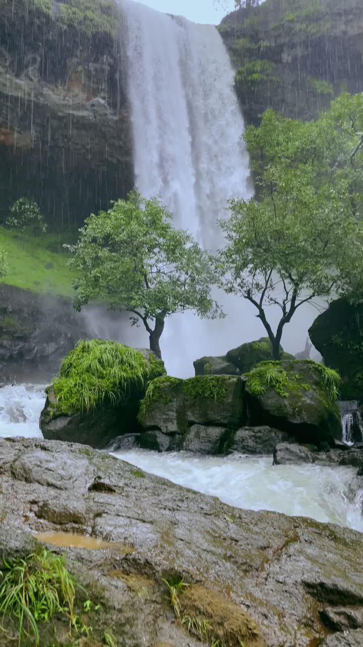 Tilt-down shot of Vasundhara Falls in Bhandardhara, Maharashtra, cascading amidst lush green fields, misty mountains, and thick monsoon fog nature's raw beauty in full glory