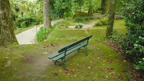 Banco-Sereno-En-La-Cima-De-Una-Colina-En-El-Parque-Terra-Nostra,-Sao-Miguel,-Azores