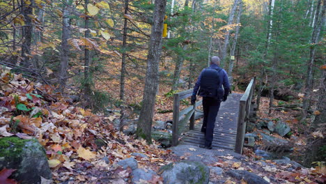 man walking on a river bridge
