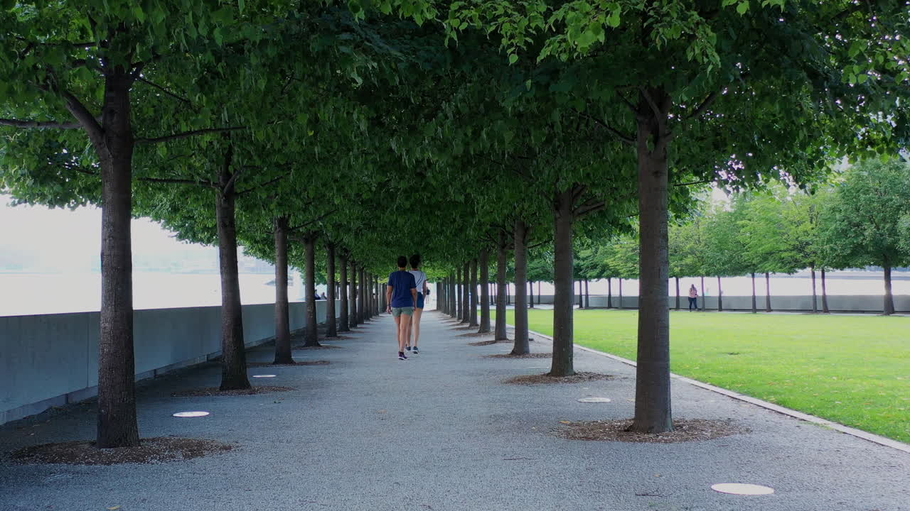 돌리는 공원에서 화창한 날 드론 카메라에서 멀리 걸어가는 두 명의 여성과 함께 완벽하게 늘어선 나무의 나무 캐노피 아래에서 앞으로 촬영했습니다.