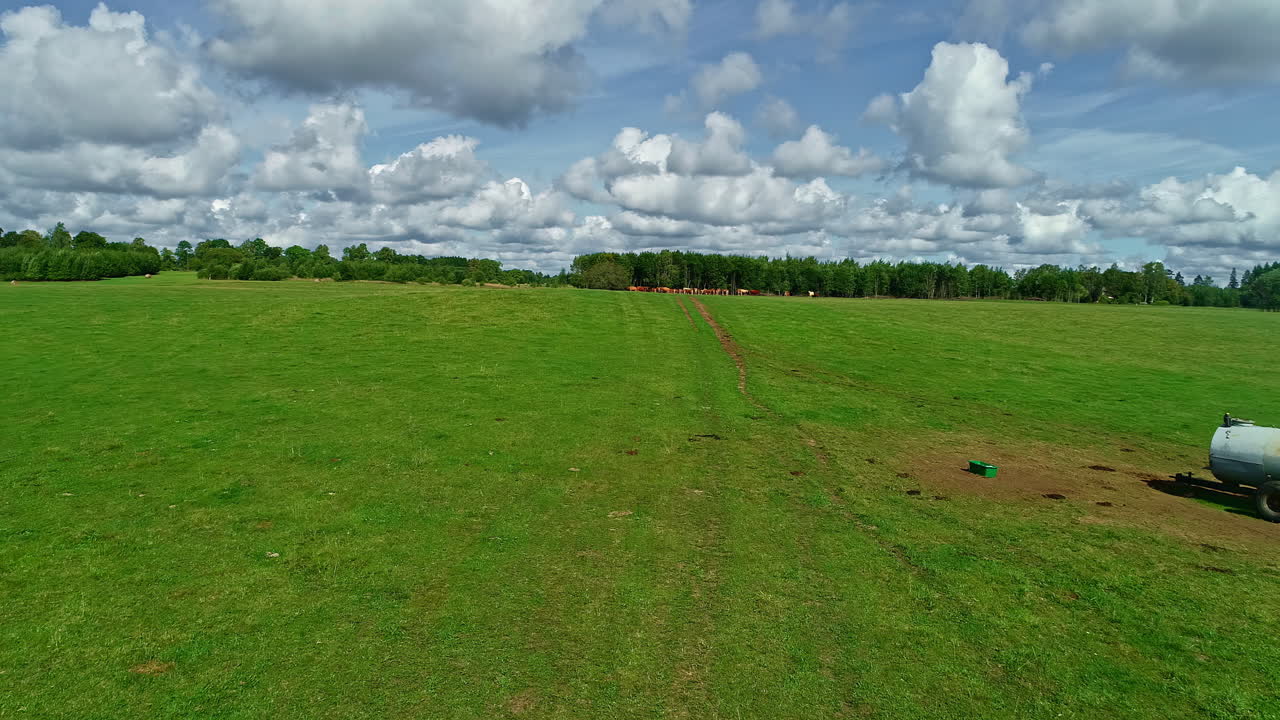 dron aéreo con movimiento hacia adelante volando sobre praderas verdes en un día de verano