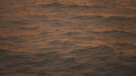 warm golden glow on ripples and waves of sea surface during sunset