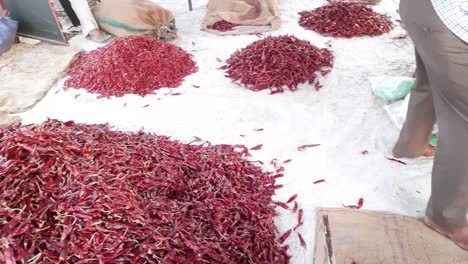 un vendedor de chile que vende variedades de chiles rojos secos o mirchi de la india