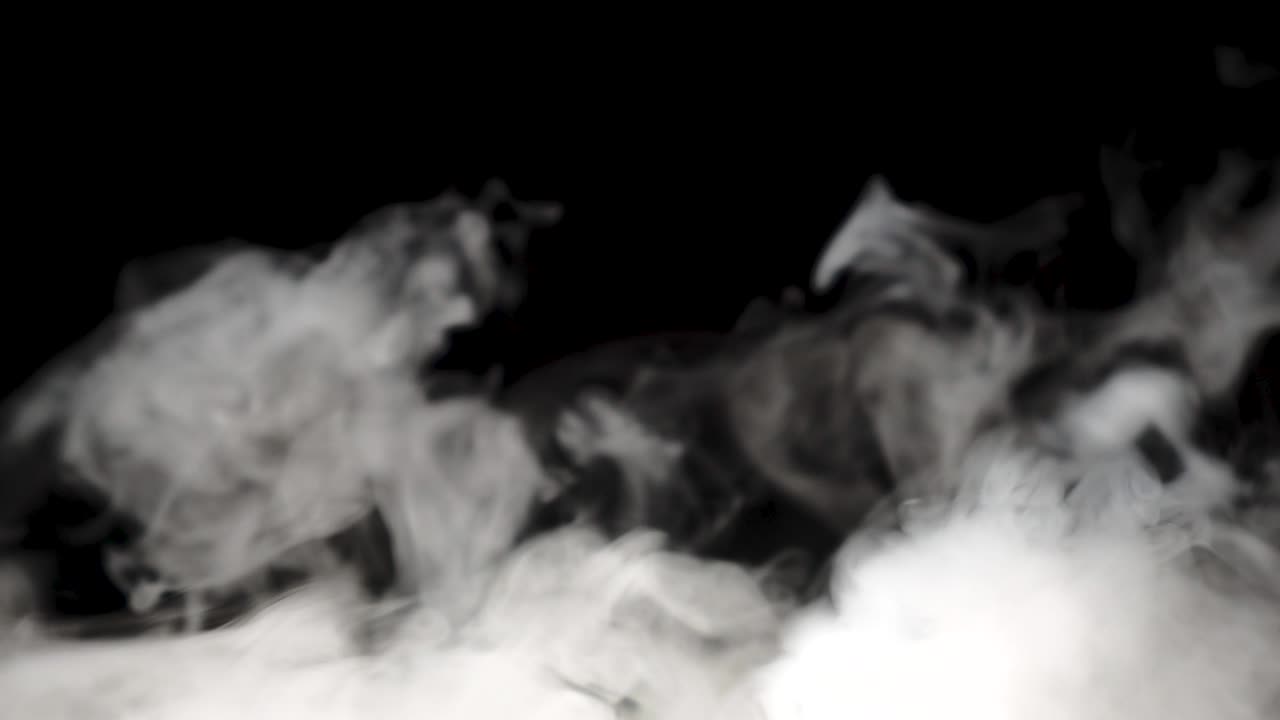 지상에서 어나오는 무서운 연기. 빠른 움직임. 사용을 위한 스크린 모드. 할로윈 기회. 무서운. 유령.