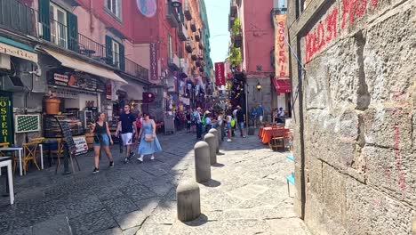 tourists exploring a bustling street in naples