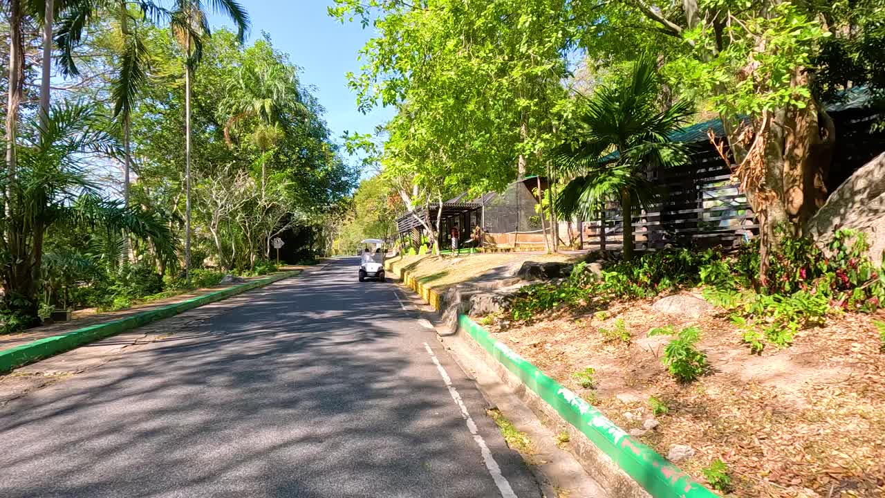 A tranquil drive through lush greenery and modern architecture at Khao Kheow Open Zoo, Chonburi, Thailand, under bright daylight