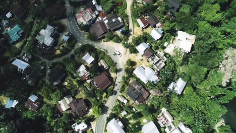 top down view of village through green tall trees of tropical forest in suburb of india