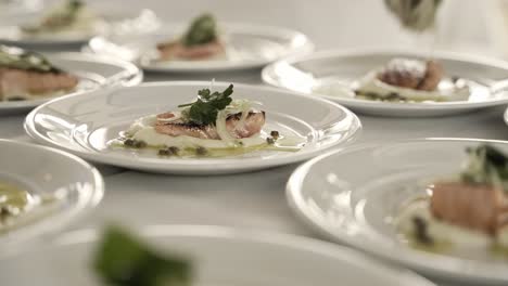 master chef preparing delicious salmon meal in white plates, close up view