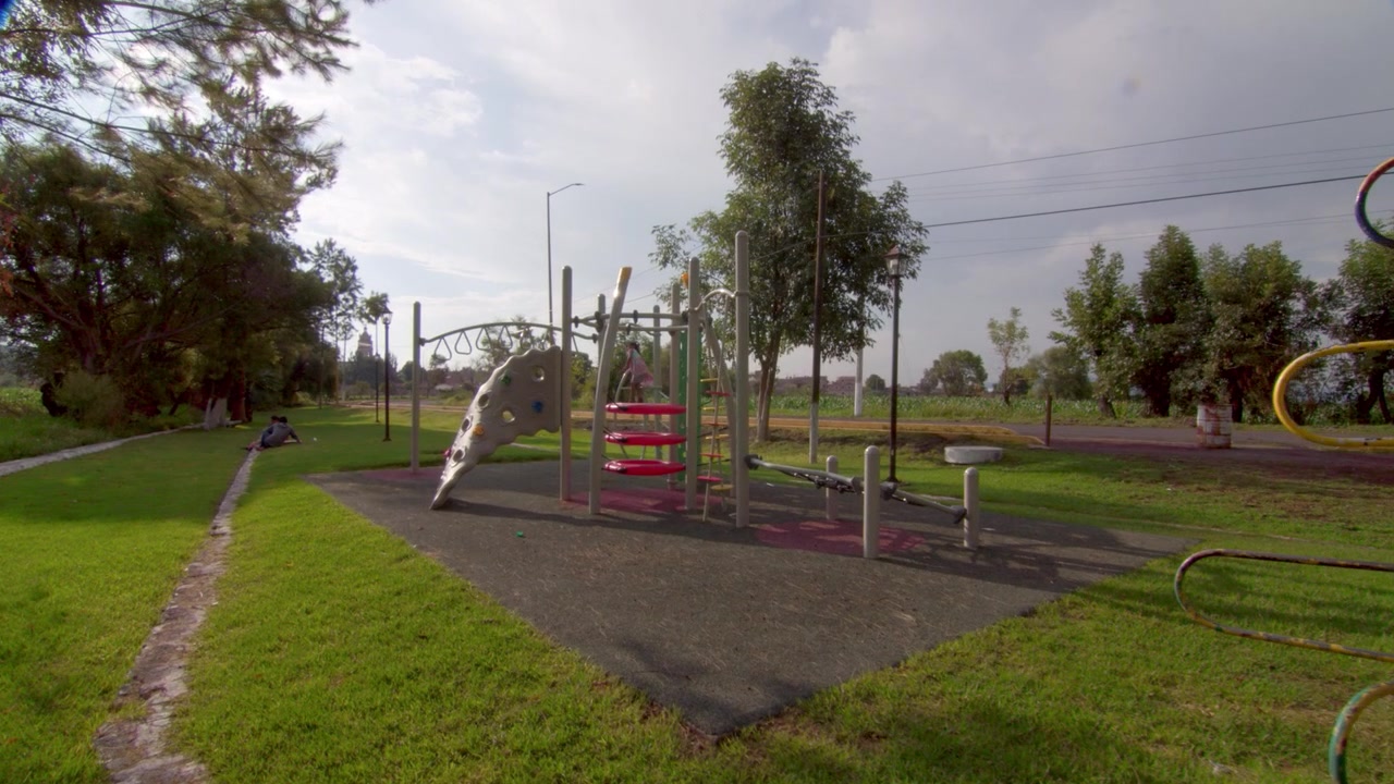 Parque de fitness al aire libre en un parque público soleado con estructura para trepar, pasamanos, césped, árboles y equipo de ejercicio.