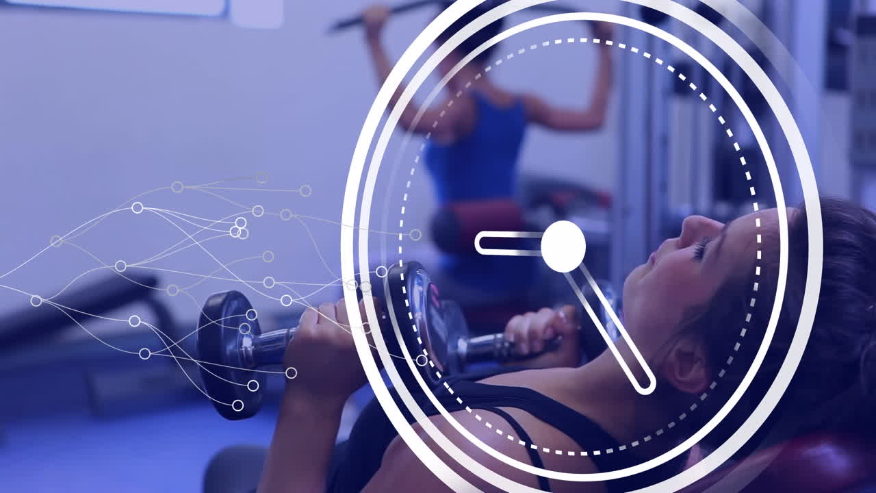 체육관에서 운동하는 다양한 스포츠 선수들에 대한 데이터 처리의 애니메이션