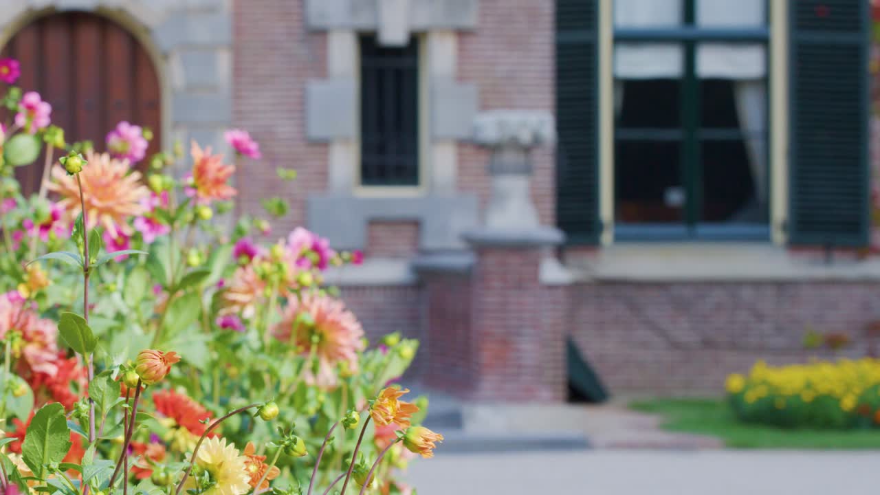 Vibrant flowers in foreground, camera smoothly pans revealing brick building and garden in daylight