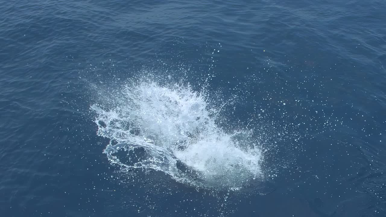 두 명의 시이 과테말라 해안에서 바다로 항해하는 선박을 풀어줍니다.