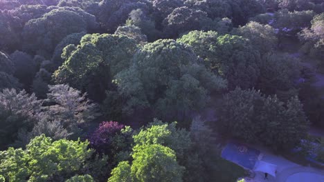 A-high-angle,-aerial-view-of-a-park-playground-in-the-suburbs-of-Valley-Stream,-NY-on-a-sunny-day