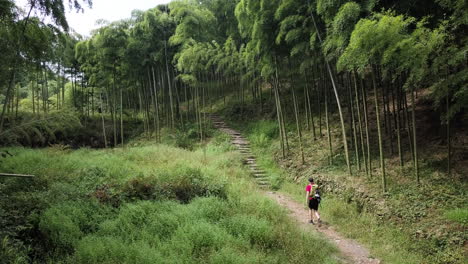 caminhadas de 4 km em moganshan, província de zhejiang, china